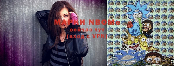 прущая мука Богородицк