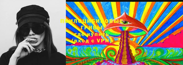 спайс Арсеньев