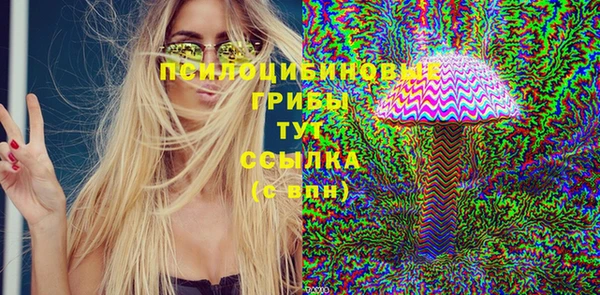 мет Алексин