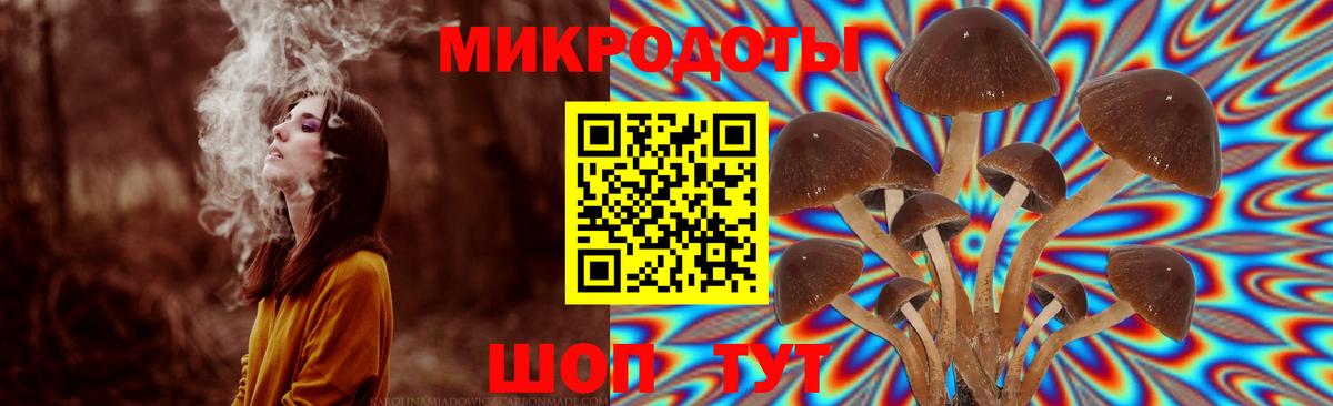 Галлюциногенные грибы Magic Shrooms Коломна